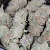 Explore how cannabis can support physical and mental wellness