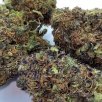🌿 The Healing Power of Cannabis: A Beginner’s Guide