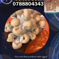 How to apply Congo dust powder in south africa - PRODUCT NAME: CONGO DUST +27788804343  100% pure He