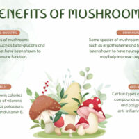 BUY PSILOCYBIN PUSHROOMS ONLINE FAST SHIPPING