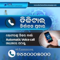 Helping Politicians Win: Online Election Campaign Services in Bihar