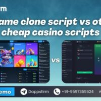 The Entrepreneur’s Advantage: BC.Game Clone Script vs Minimal Casino Codes