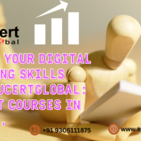 Digital Marketing Training Institute In Lucknow At EducertGlobal