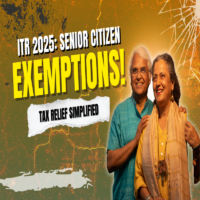Need Help to File Income Tax Returns for Senior Citizens? | AuditFiling
