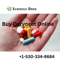 Best Website To order Darvocet No Script