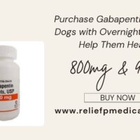 Purchase Gabapentin Online for Dogs to Aid with Pain Relief