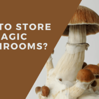 where to buy microdosing psilocybin online