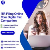 Fast & Accurate Income Tax Return Filing Services – Contact AuditFiling