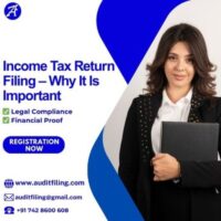 Professional Income Tax E-Filing Services in India – AuditFiling