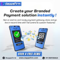 Online Payment Gateway Clone Script Designed for High Transaction Businesses