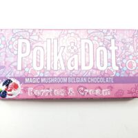 Buy PolkaDot Dark Couverture Mushroom Chocolate Bar