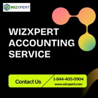 Mastering the Art of WizXpert Expertise