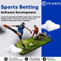 All-in-One Sports Betting Software Development Company – Free Consultation for Entrepreneurs!