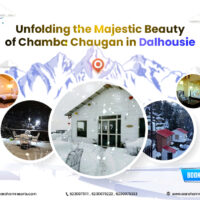 Unfolding The Majestic Beauty of Chamba Chaugan in Dalhousie