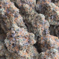 Buy high THC oil cartridges Online (WhatsApp at): +1(786)949-1469