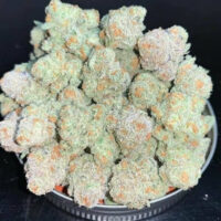 Which states sell marijuana legally (WhatsApp at): +1(786)949-1469