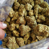 Buy weed online Australia (WhatsApp at): +1(786)949-1469