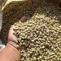 Best East African Coffee & Espresso Machines