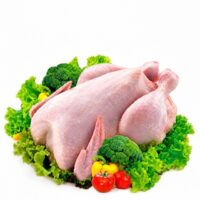 Brazil Halal Frozen Chicken & Parts Supplier → Saudi Arabia Importers → Frozen Whole Chicken → Bulk 