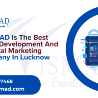 Best Web development company in Lucknow | Wismad
